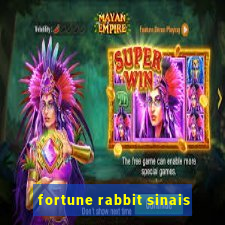 fortune rabbit sinais