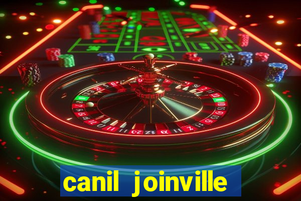 canil joinville vila nova