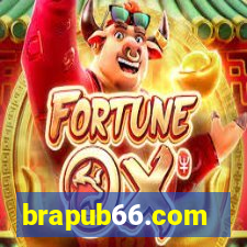 brapub66.com