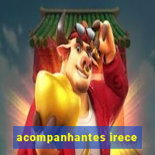 acompanhantes irece