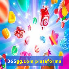 365gg.com plataforma