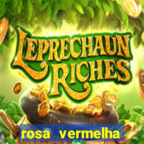 rosa vermelha (letra e cifra)